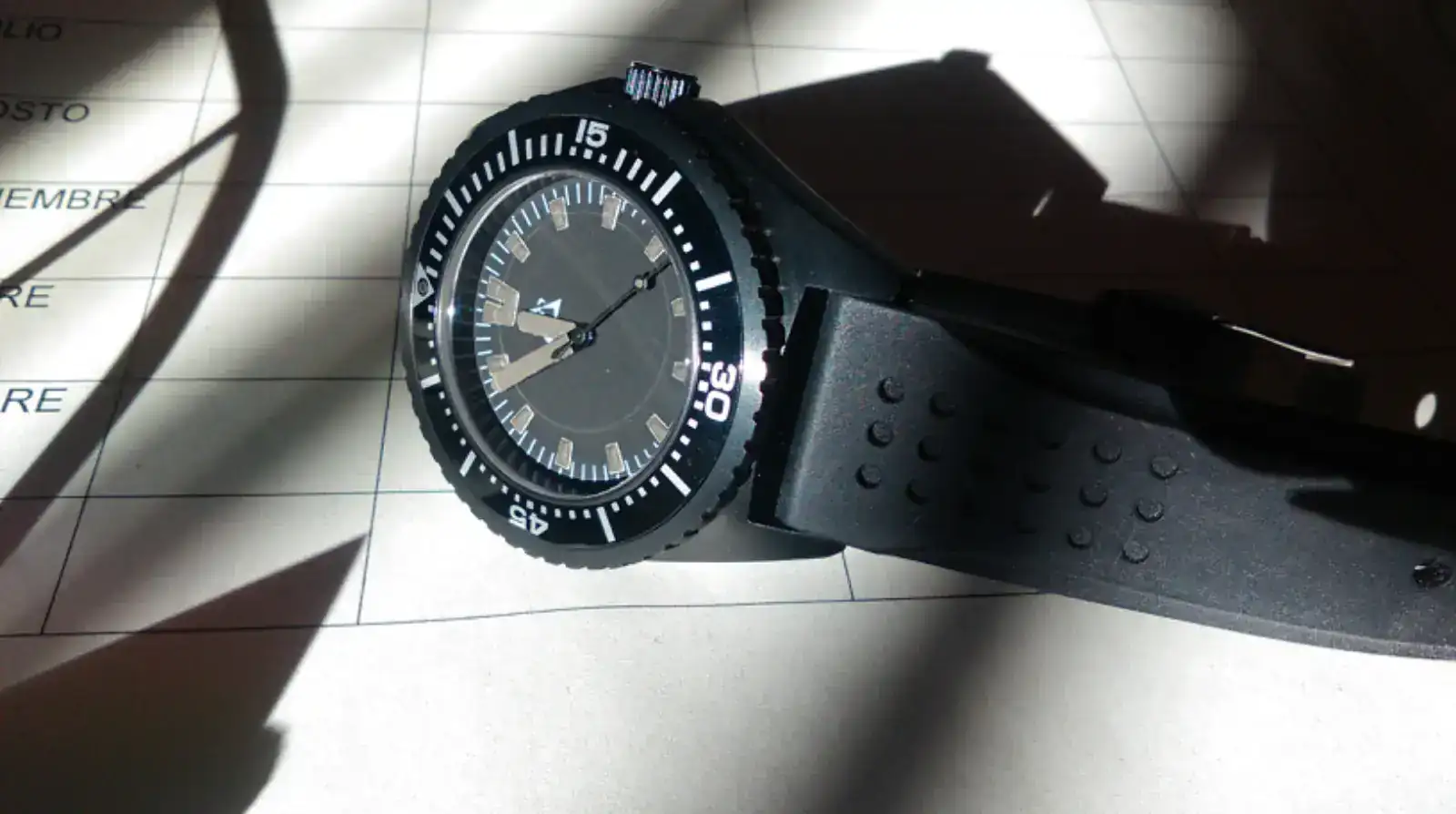 IMAG0438_Original.webp