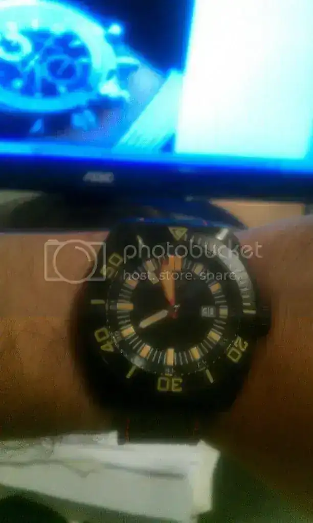 IMAG0516.webp