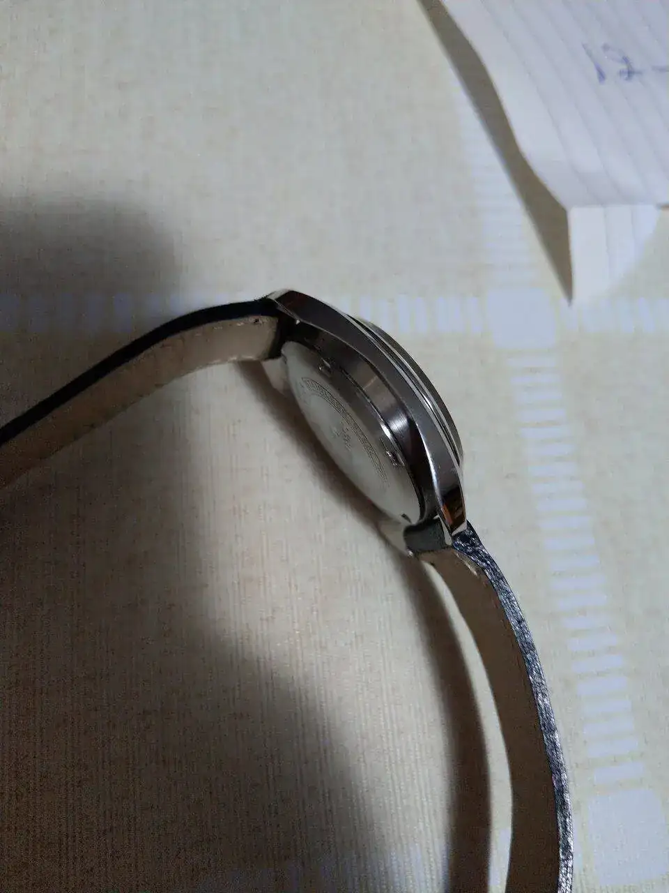 IMAG0637.webp