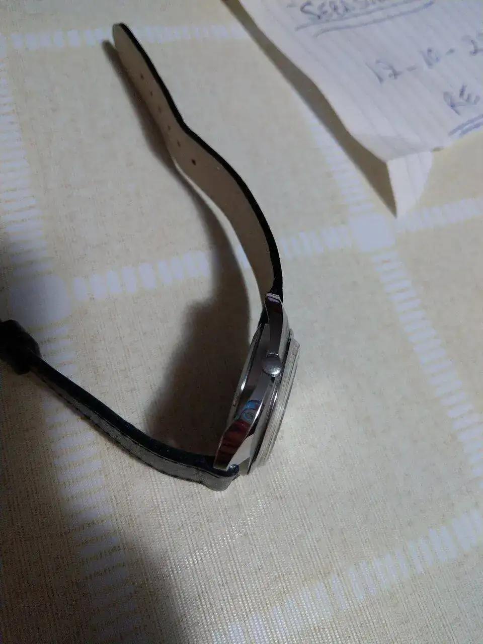 IMAG0639.webp