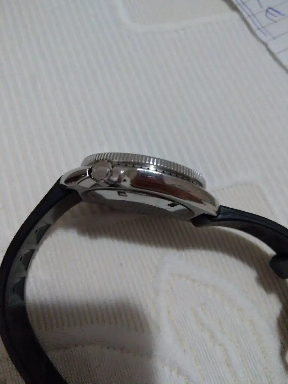 IMAG0653.webp