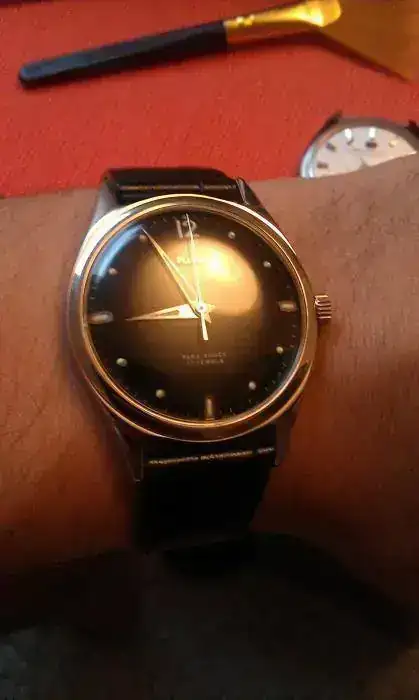 IMAG0965.webp