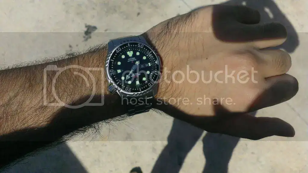 IMAG1146_zpskrxhjef0.webp