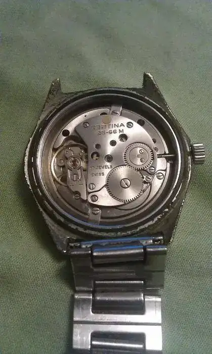 IMAG1152.webp