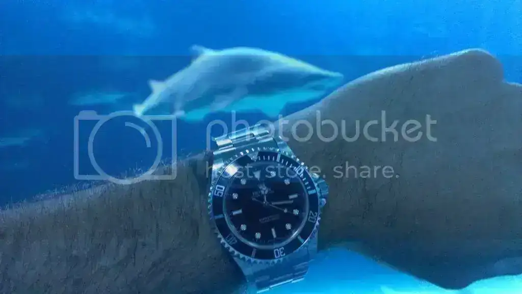 IMAG1257_zpsfeef3c34.webp