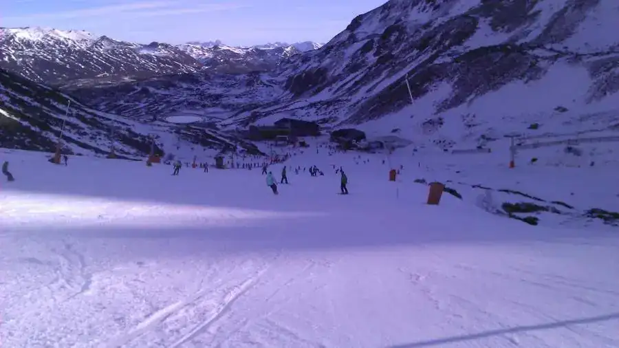 IMAG1329.webp