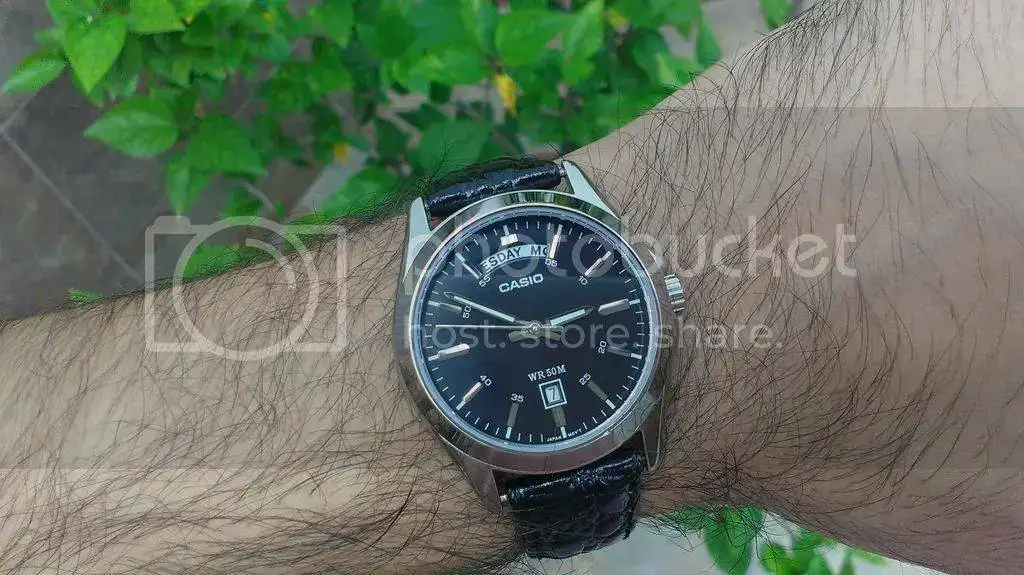 IMAG1341_zpspapj3v7p.webp