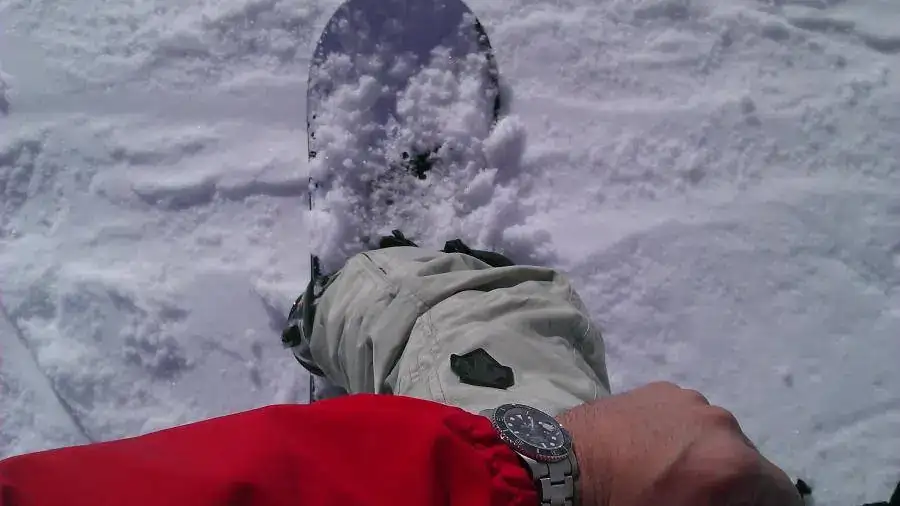 IMAG1362.webp