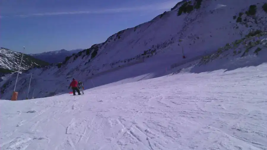 IMAG1363.webp