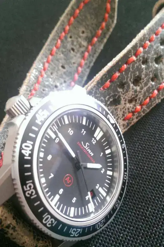IMAG1389_1.webp