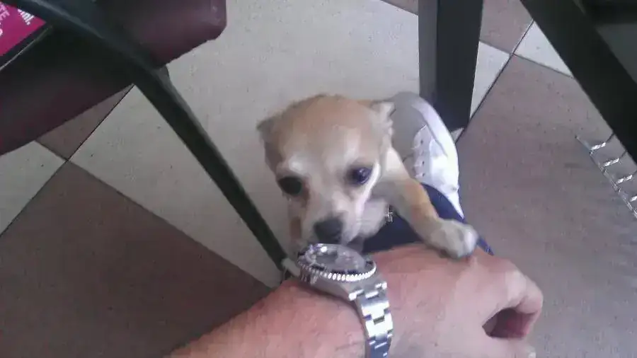 IMAG2096.webp