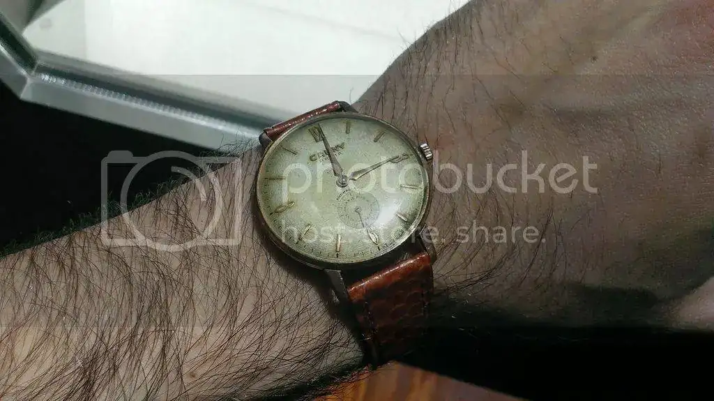 IMAG2315_zpsnuqoje1y.webp