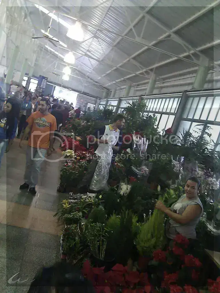 IMAG3207_zps0b4b7239.webp