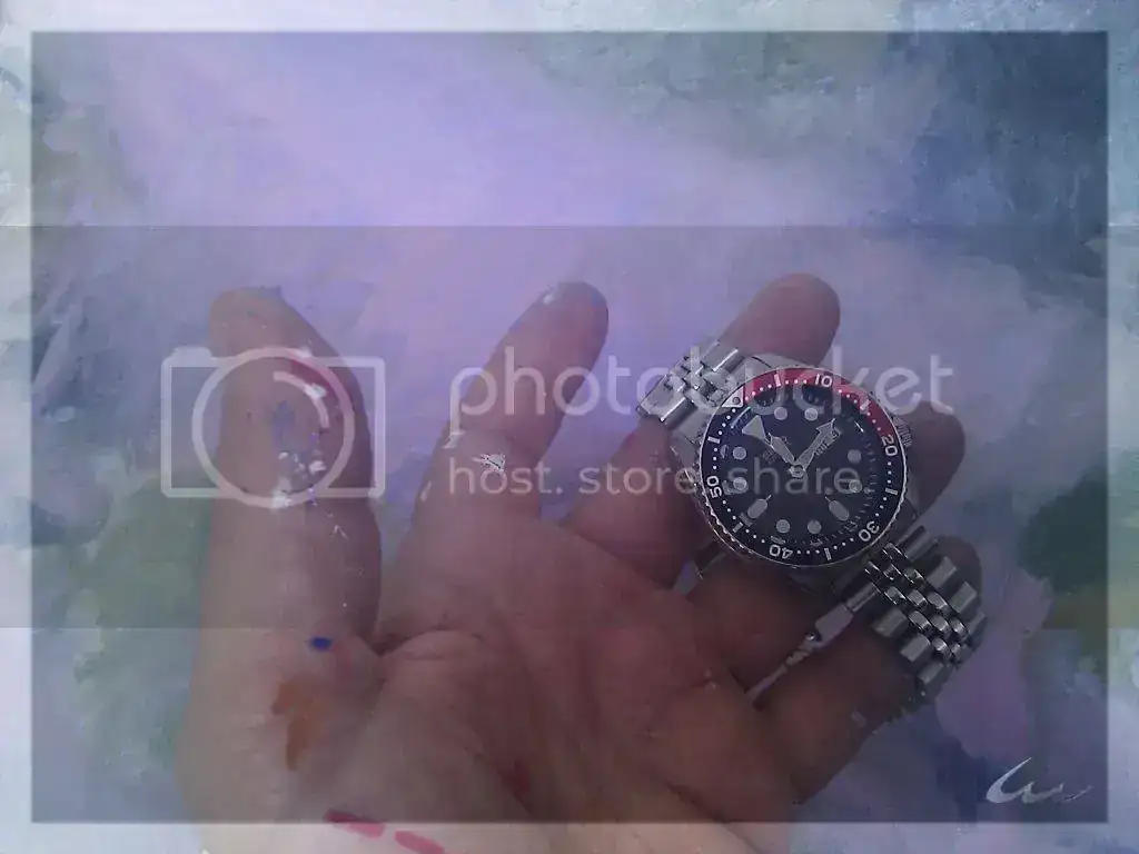 IMAG3380_zpsf8ca69f3.webp