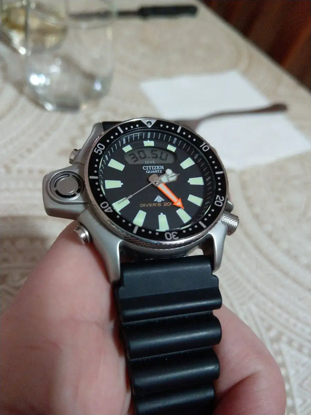 IMAG8732.webp
