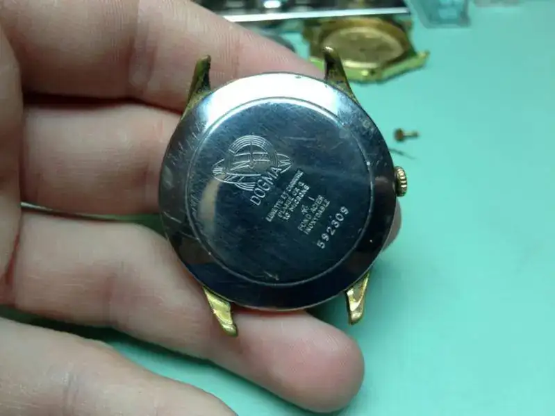 image-1992210684.webp