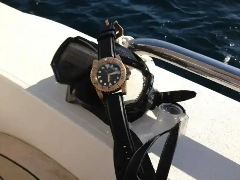 image-2013161852.webp