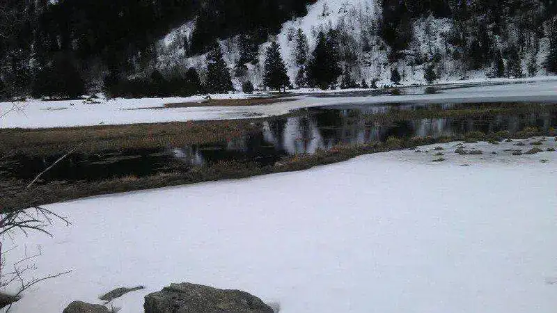 image-2300911140.webp