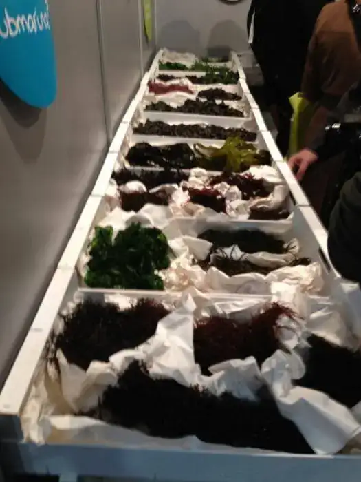 image-2694189961.webp