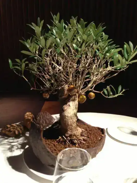 image-2757543893.webp
