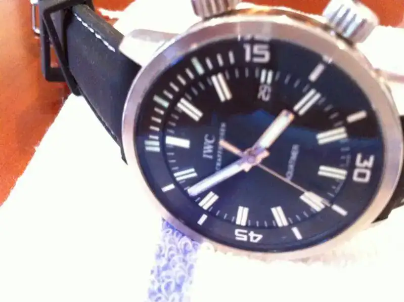 image-3001150401.webp