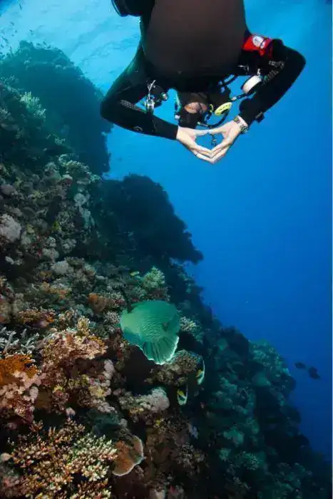 image-3435541153.webp