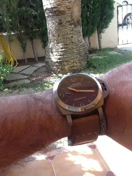 image-3886843153.webp