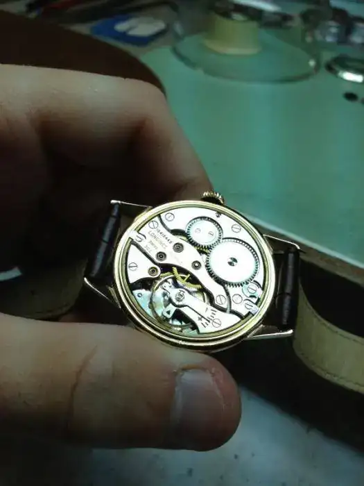 image-774134892.webp