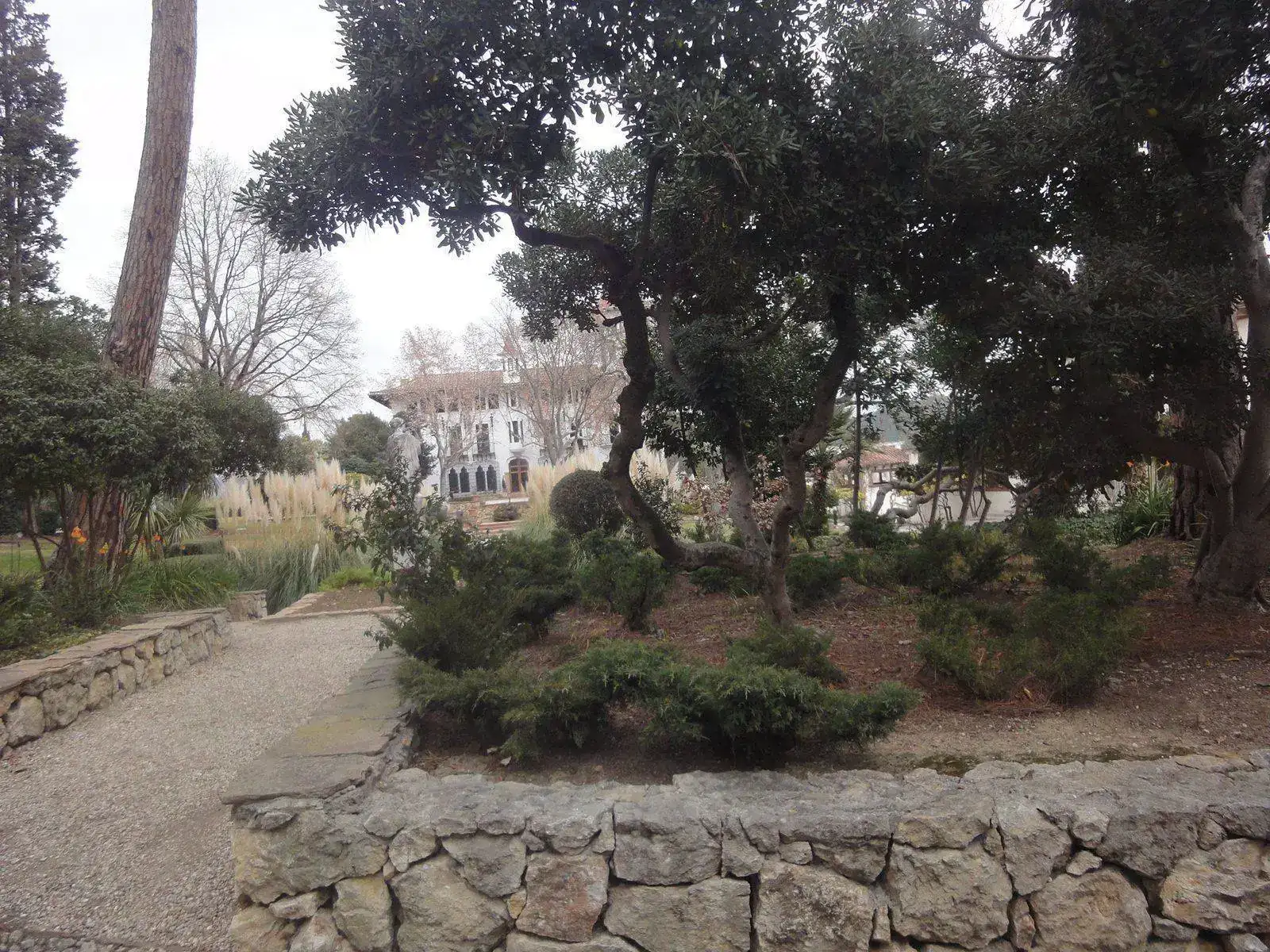 image.webp