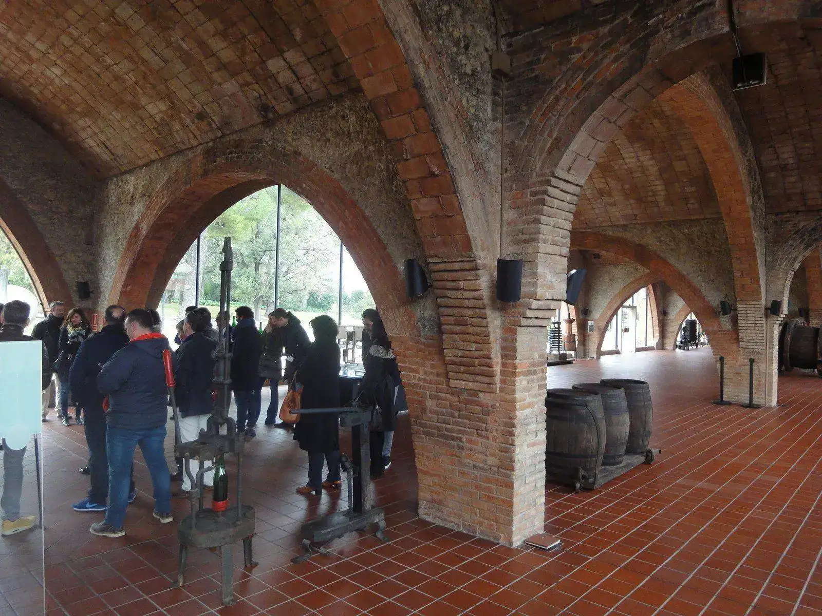 image.webp