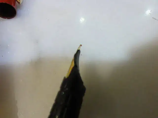 image.webp
