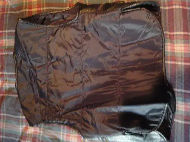 image.webp