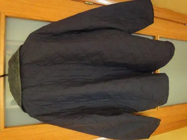 image.webp