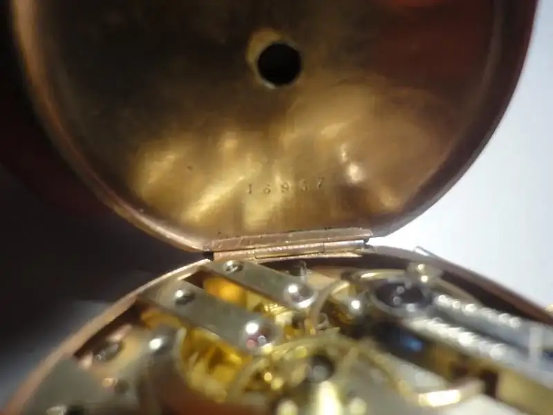 image.webp