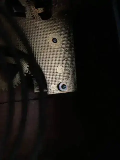 image3.jpeg