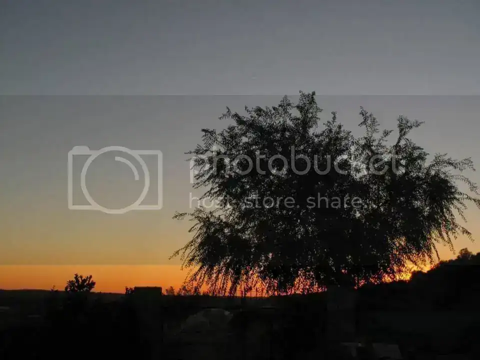 image_zps30191c68.webp