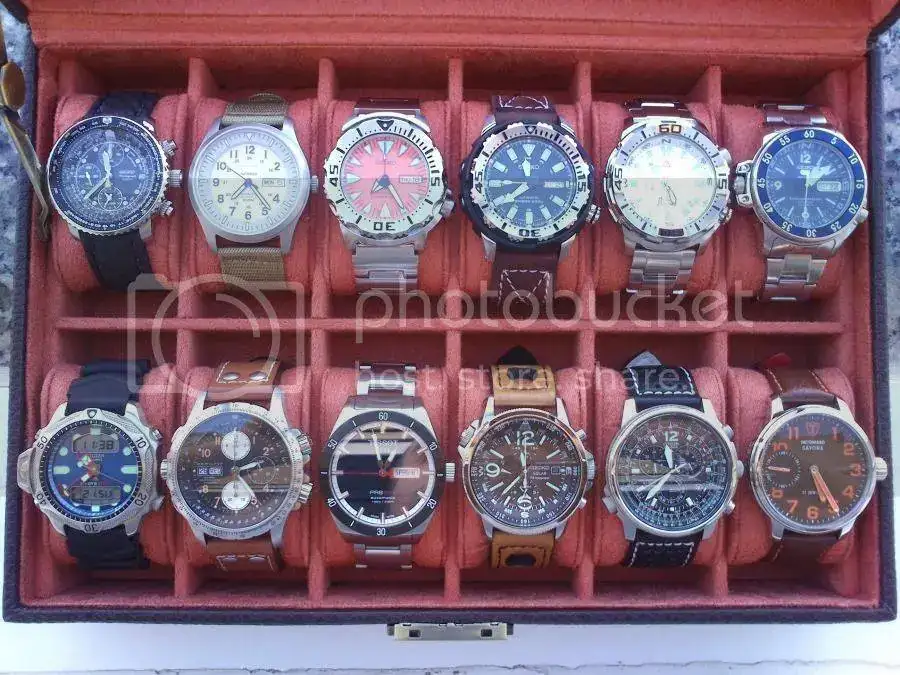 image_zps9wm8pdhe.webp