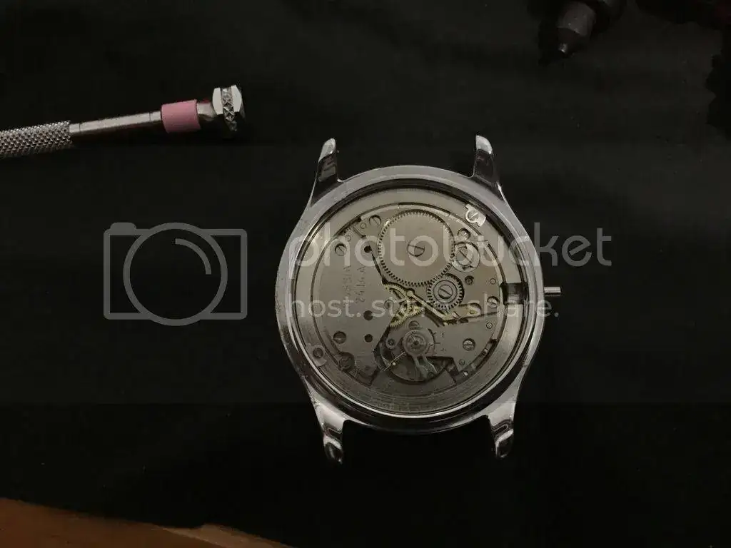 image_zpsdluqiei3.webp