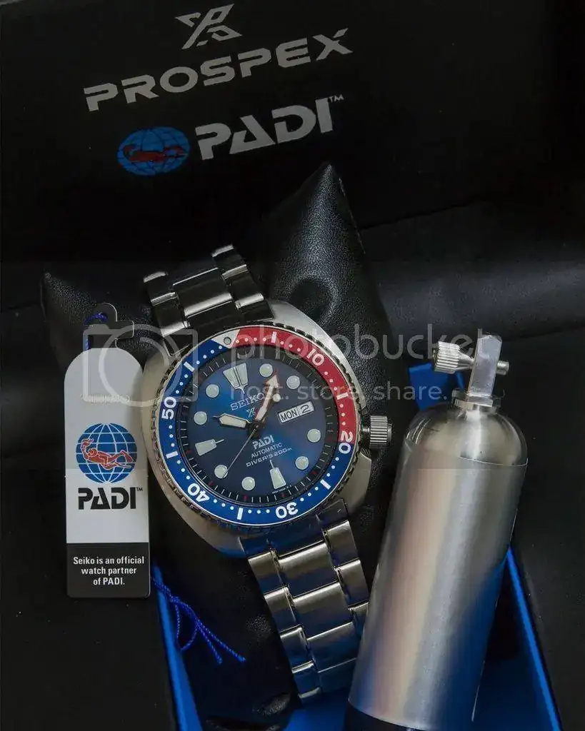 image_zpshri6t13s.webp