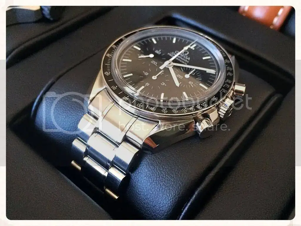 image_zpssyv8pj3l.webp