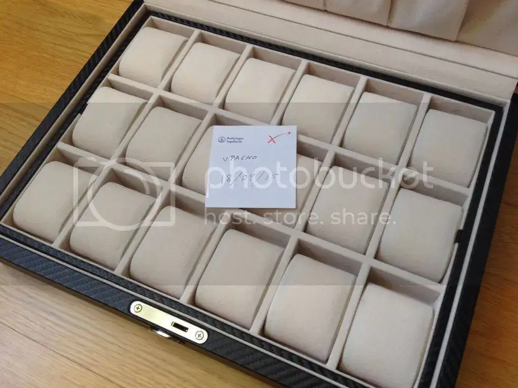 image_zpsvgegfnjf.webp