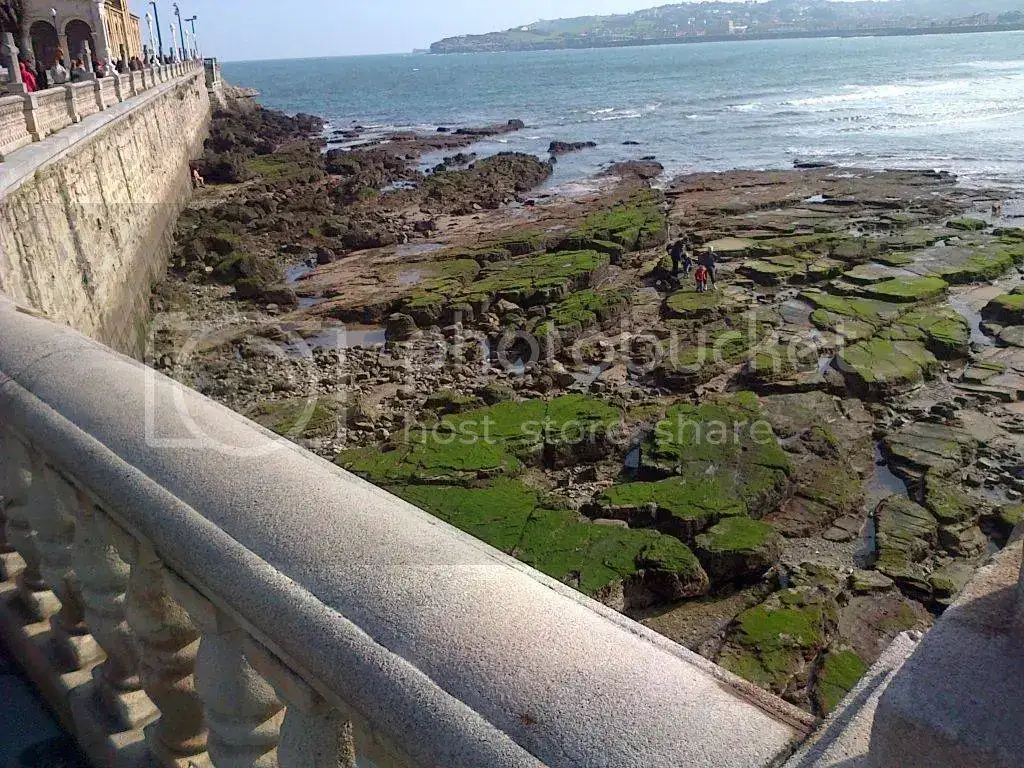 imagejpg1_zps348be6d9.webp