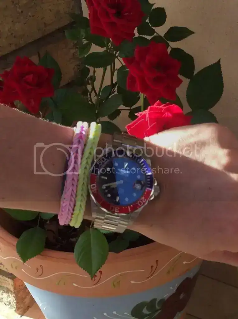imagejpg1_zps358c2f57.webp