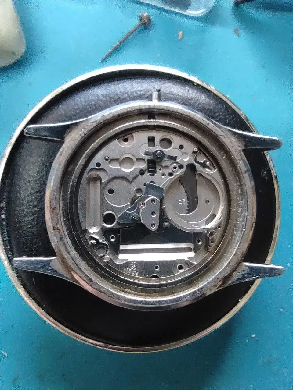 Imagen de WhatsApp 2024-03-26 a las 15.54.07_111708cd.jpg