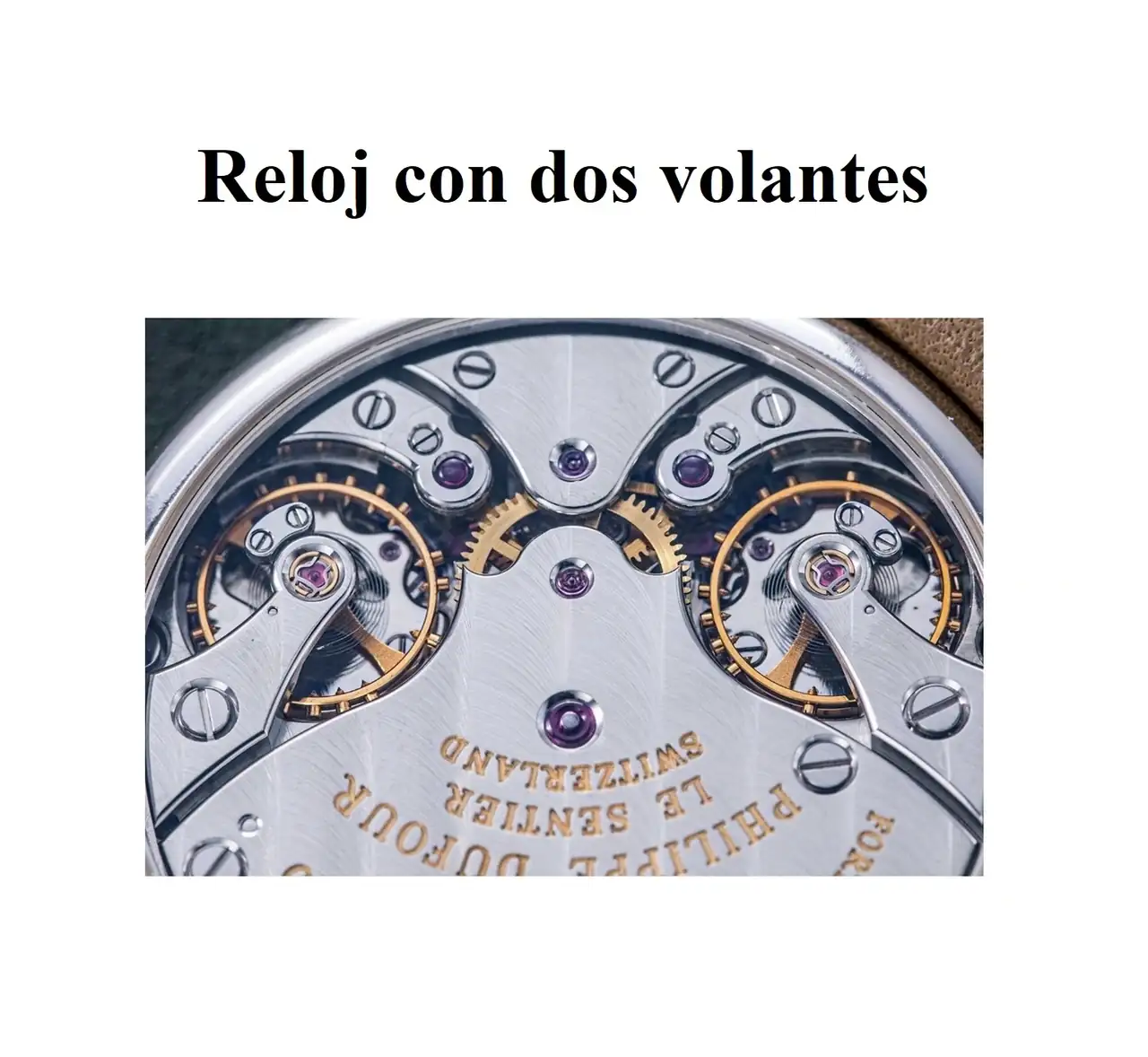 Imagen1.webp