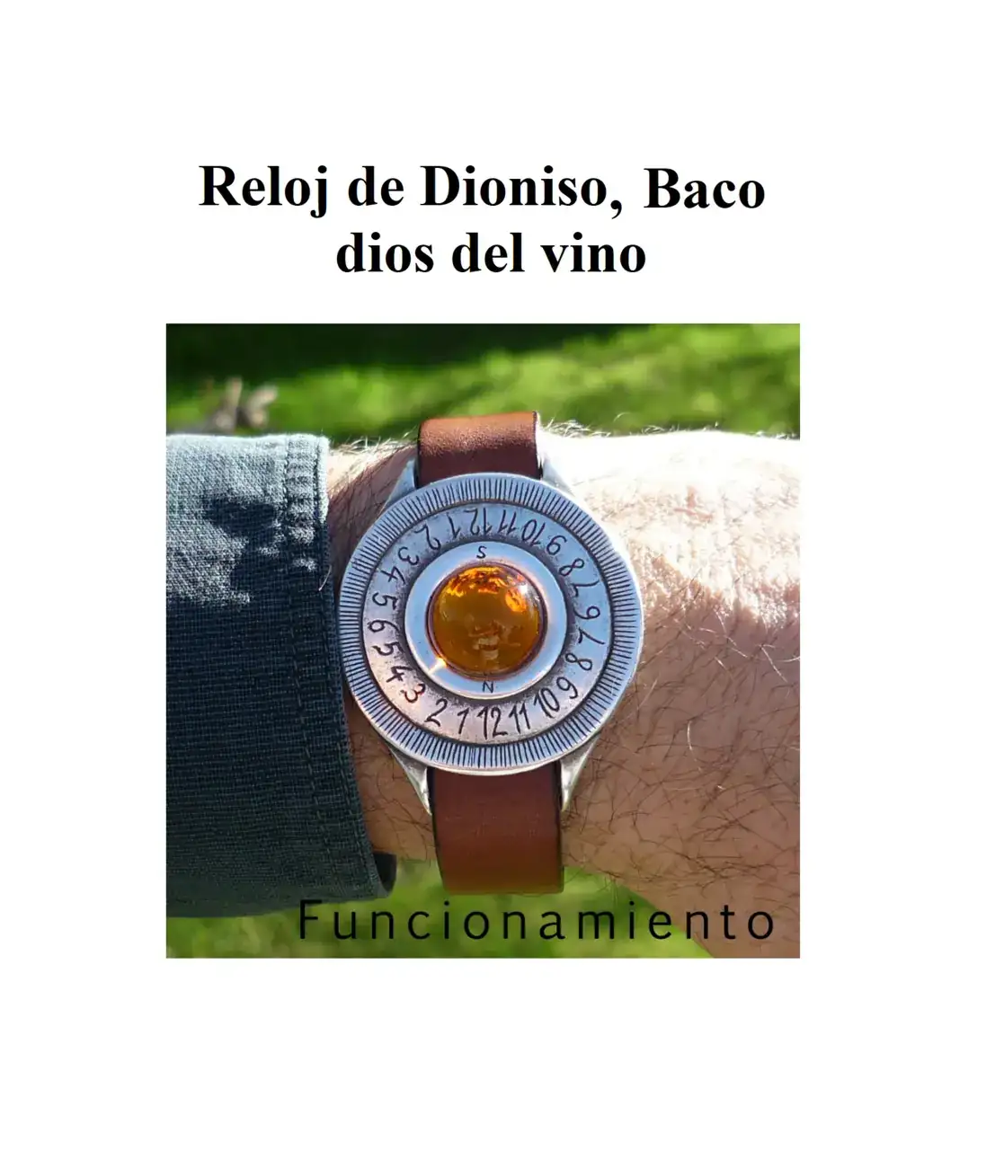 Imagen1.webp