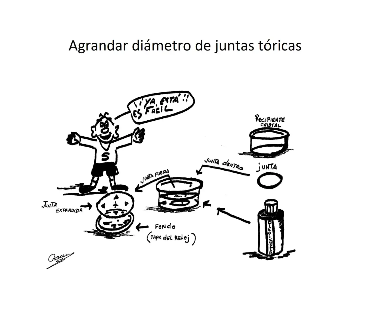 Imagen1.webp