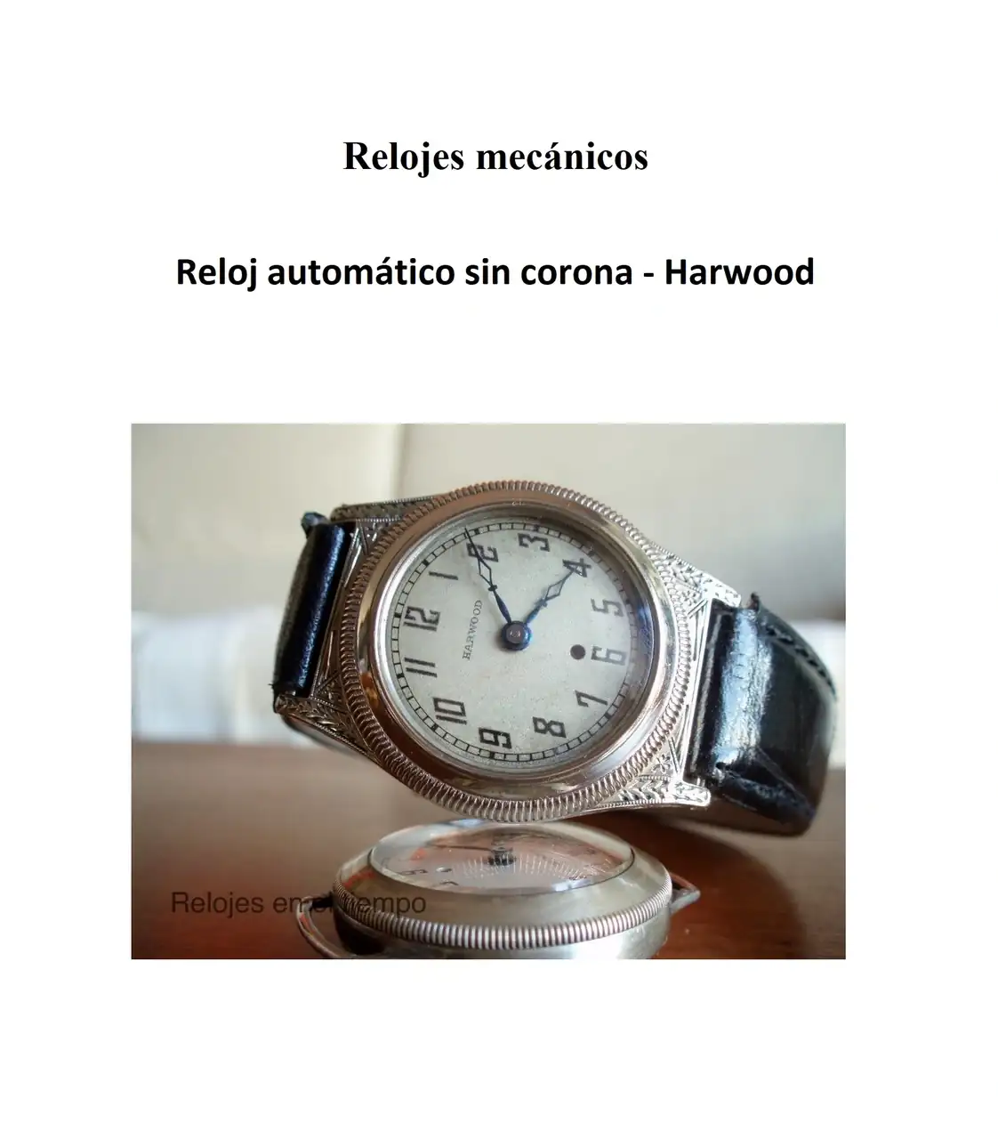 Imagen2.webp