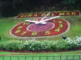 images (2).webp