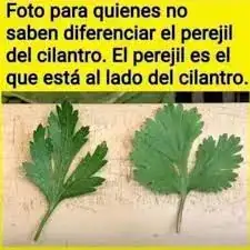 images.webp